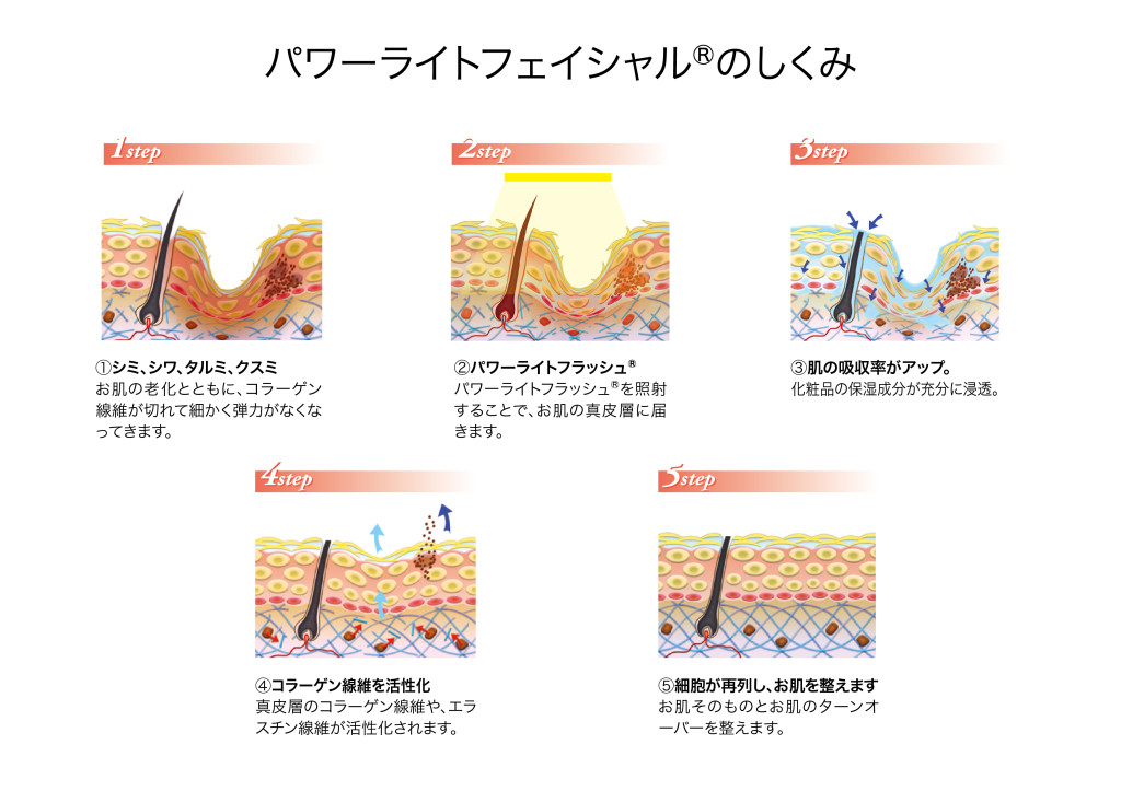 肌年齢を若返らせる究極6